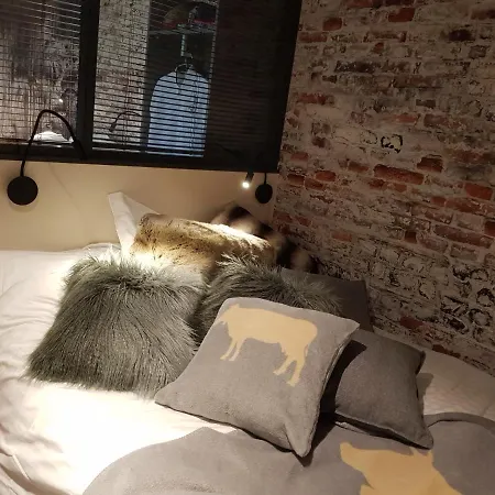 Apartment 1+1 *